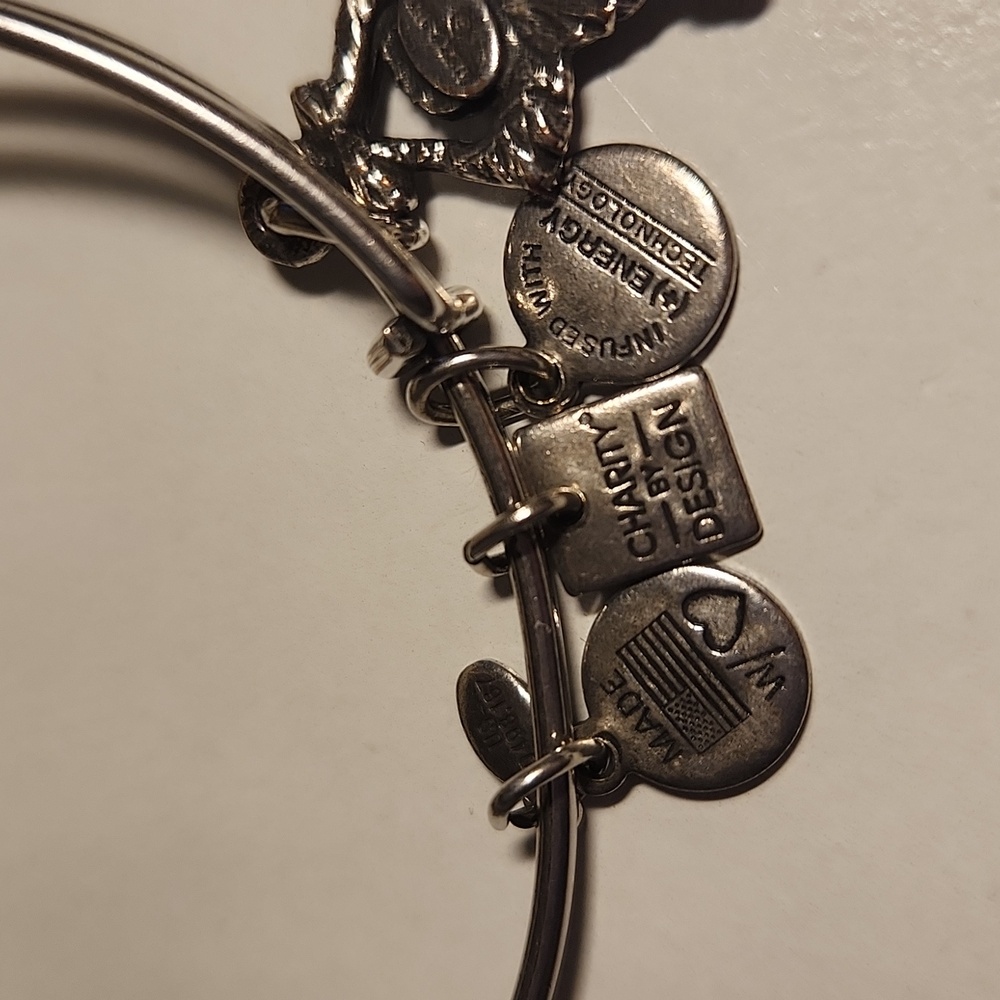 Alex and Ani Monkey Charm Bangle Bracelet - Picture 4 of 4